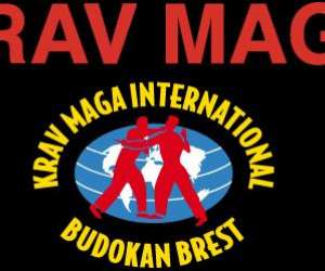 Krav Maga, Modern Combat