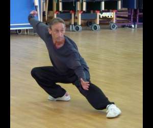 photo Tai chi chuan qi gong Rennes 3127