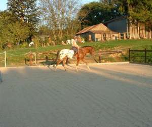 photo Equitation kervalerien St Servais 6708