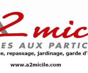 Mnage Repassage A2micile La Vie Facile !!