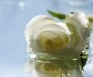 photo  catherine soulard  aromatherapie Andouille Neuville 3442