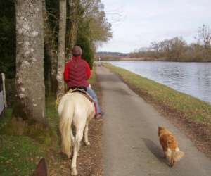 photo Le haras de kita Guipry 3598