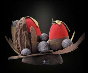photo Patisserie hamon Brest 7156