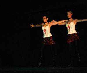 photo Cabaret saint michel Roz Sur Couesnon 4387