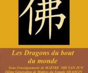 Les Dragons Du Bout Du Monde