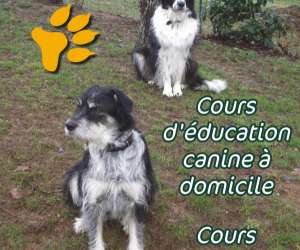 Educ.canine