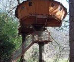 photo Cabane dans les arbres Cleder 6811