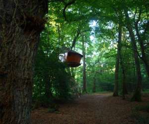 photo Cabane dans les arbres Cleder 7642