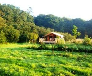 photo Cabane dans les arbres Cleder 7646