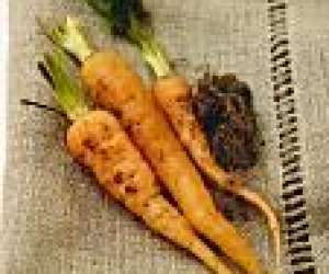 photo La cuisine d'anneth St Sulpice La Foret 4912