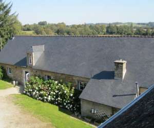 photo L'araucaria - chambres d'htes & gite Ploerdut 8206