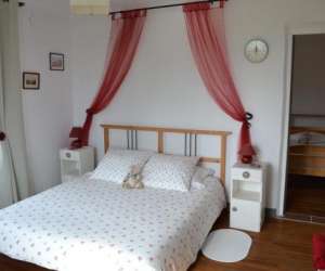 photo L'araucaria - chambres d'htes & gite Ploerdut 8210