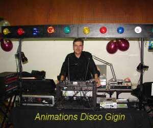 Disco Gigin Animateur De Soires