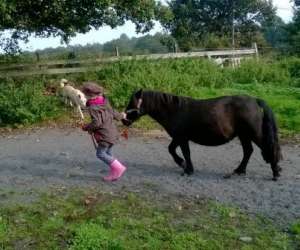 photo Haras de kita Langon 9441