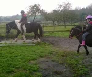 photo Haras de kita Langon 9442