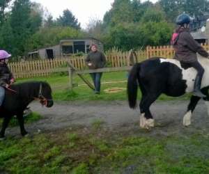 photo Haras de kita Langon 9443