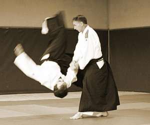 Aikido Club  Malansac