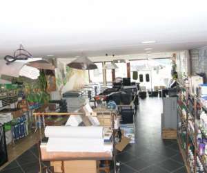 photo Jardin indoor Sene 7313