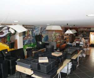 photo Jardin indoor Sene 7314