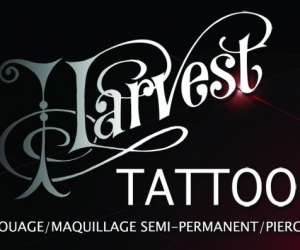 Harvest Tattoo   - Tatouage Maquillage Semi- Permanent