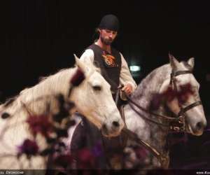 Cie Arvest - Ecurie D'art Equestre - Spectacle Equestre Cie Arvest - Ecurie D'art Equestre - Spectacle Equestre