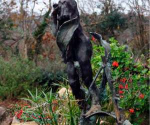 photo Aventuriero  carlo  - l'atelier d'artiste Argol 7027