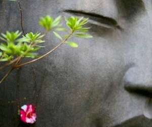 photo Studio'zen, modelages bien-tre,massages relaxants St Malo 7323