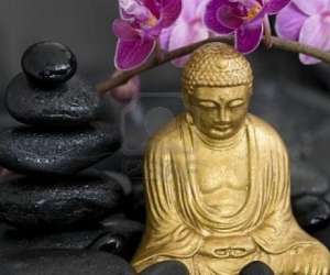 Mari Zen Beauté Mari Zen Beauté