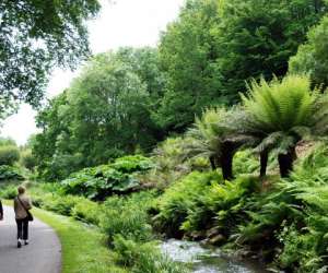 Jardin Du Conservatoire Botanique National De Brest