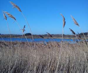 photo  bretagne sud sophrologie  Ploemeur 9619