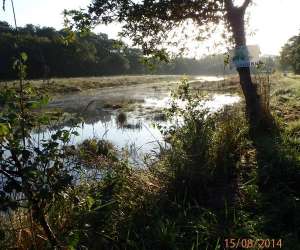 photo Les 3 grenouilles -  location de kayak sur l'odet Gouesnach 10190