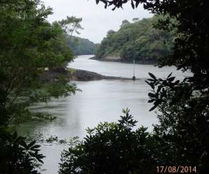 photo Les 3 grenouilles -  location de kayak sur l'odet Gouesnach 10191