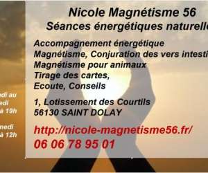 photo Nicole voyante magntiseuse en pays de vilaine St Dolay 9774