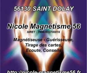 Nicole Voyante Magntiseuse En Pays De Vilaine