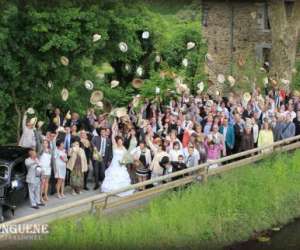 photo Jacques ginguene - photographe Retiers 9824