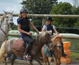 Centre questre - Poney-club Horse Solution