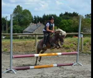 photo Centre questre - poney-club horse solution Jugon Les Lacs 9855