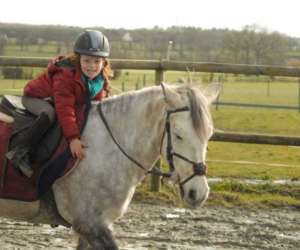photo Centre questre - poney-club horse solution Jugon Les Lacs 9857