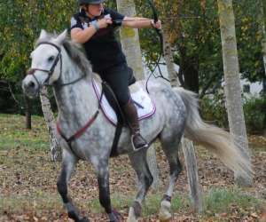 photo Centre questre - poney-club horse solution Jugon Les Lacs 9858