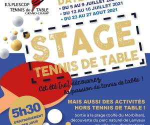 photo Tennis de table plescop / grand-champ Grand Champ 10717
