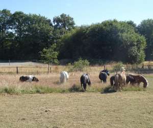 Ferme Pdagogique Des Rouves