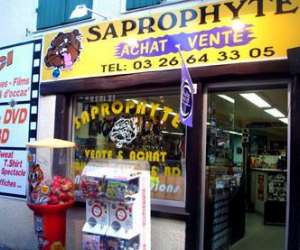 Saprophyte Saprophyte