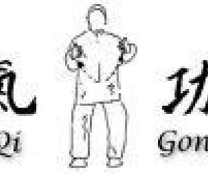 photo Association cheng 'qi gong' Chalons En Champagne 2723