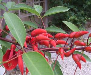 photo Jardin botanique de marnay sur seine Marnay Sur Seine 2404