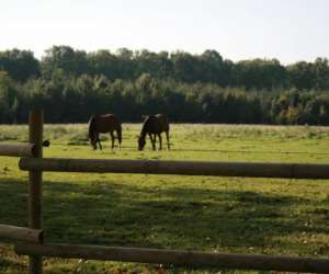  curies De La Neau Brle   