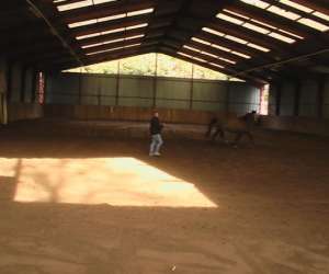photo Elevage des briards Chamery 3127