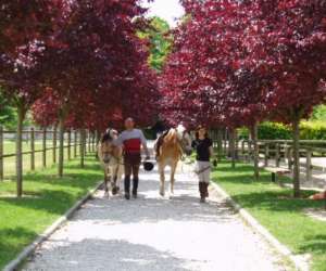 photo Equitation, centre equestre du g�te loisirs mery Mery Sur Seine 3467