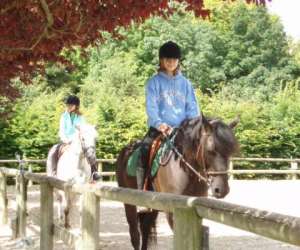 photo Equitation, centre equestre du g�te loisirs mery Mery Sur Seine 3470