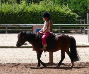 photo Equitation, centre equestre du g�te loisirs mery Mery Sur Seine 3471