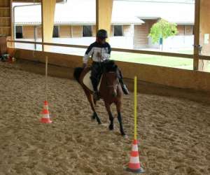 photo Equitation, centre equestre du g�te loisirs mery Mery Sur Seine 3472